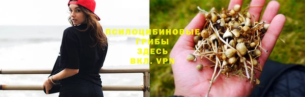 мяу мяу кристалл Богородицк