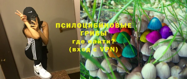 мдма Богданович